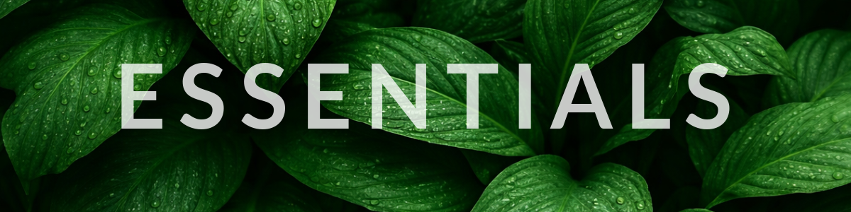 Men's Accessories Banner